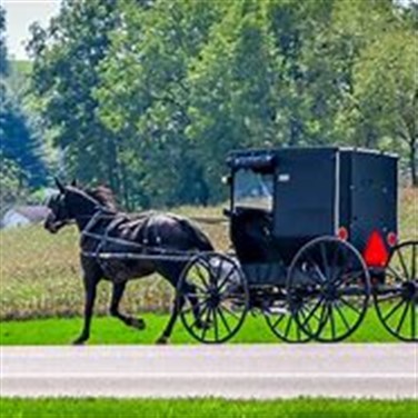 Best of Amish Country