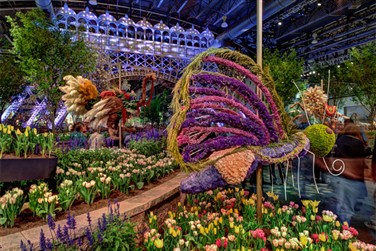 Philadelphia Flower Show & Longwood Gardens