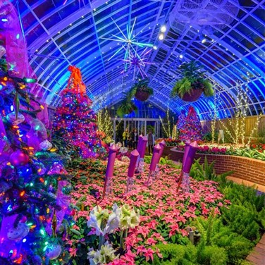 Phipps Conservatory Winter Wonderland
